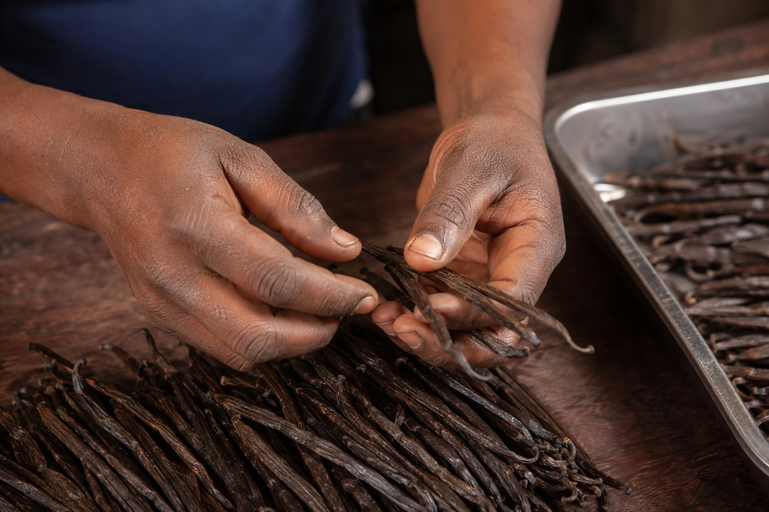 Vanilla Curing, Processing and Grading: Preparing Pods for International Export
