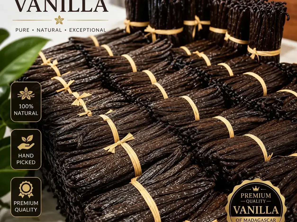 Vanilla Export Services — overview