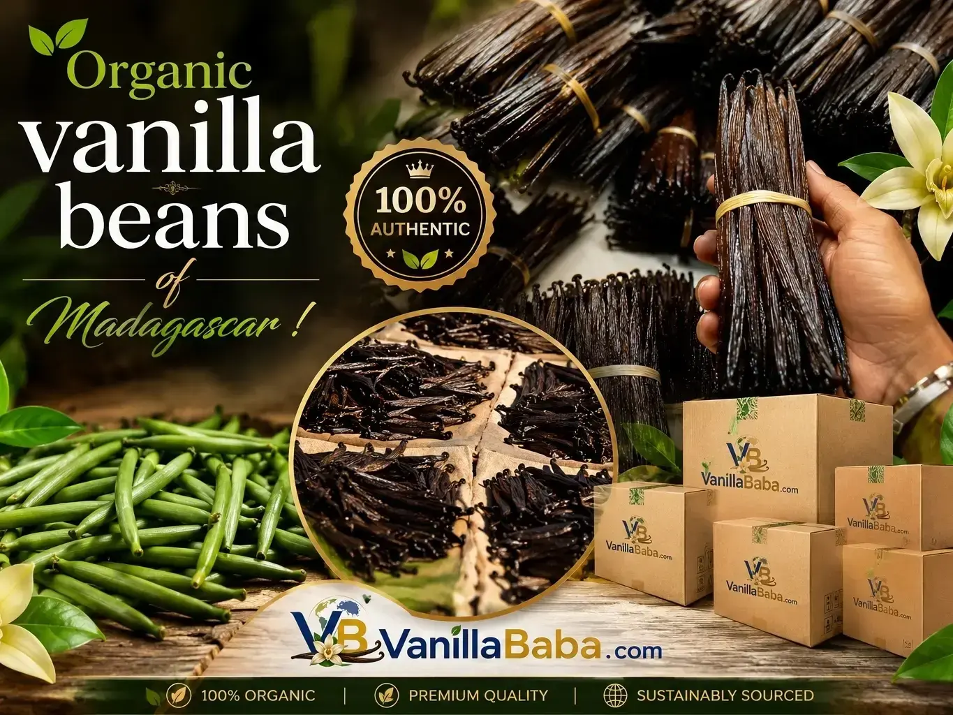 Vanilla Export Services — in action
