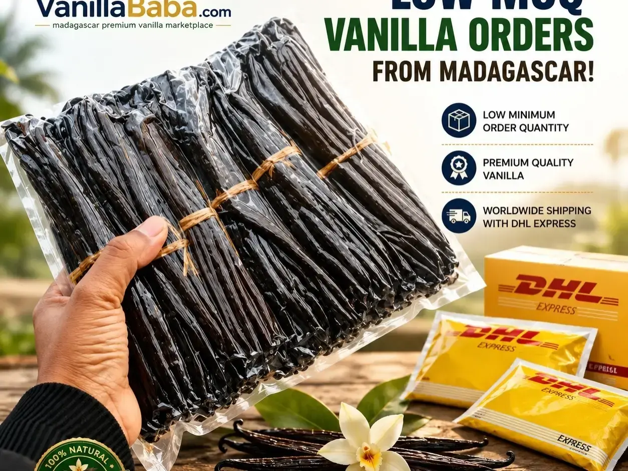 Vanilla Export Services — team at work