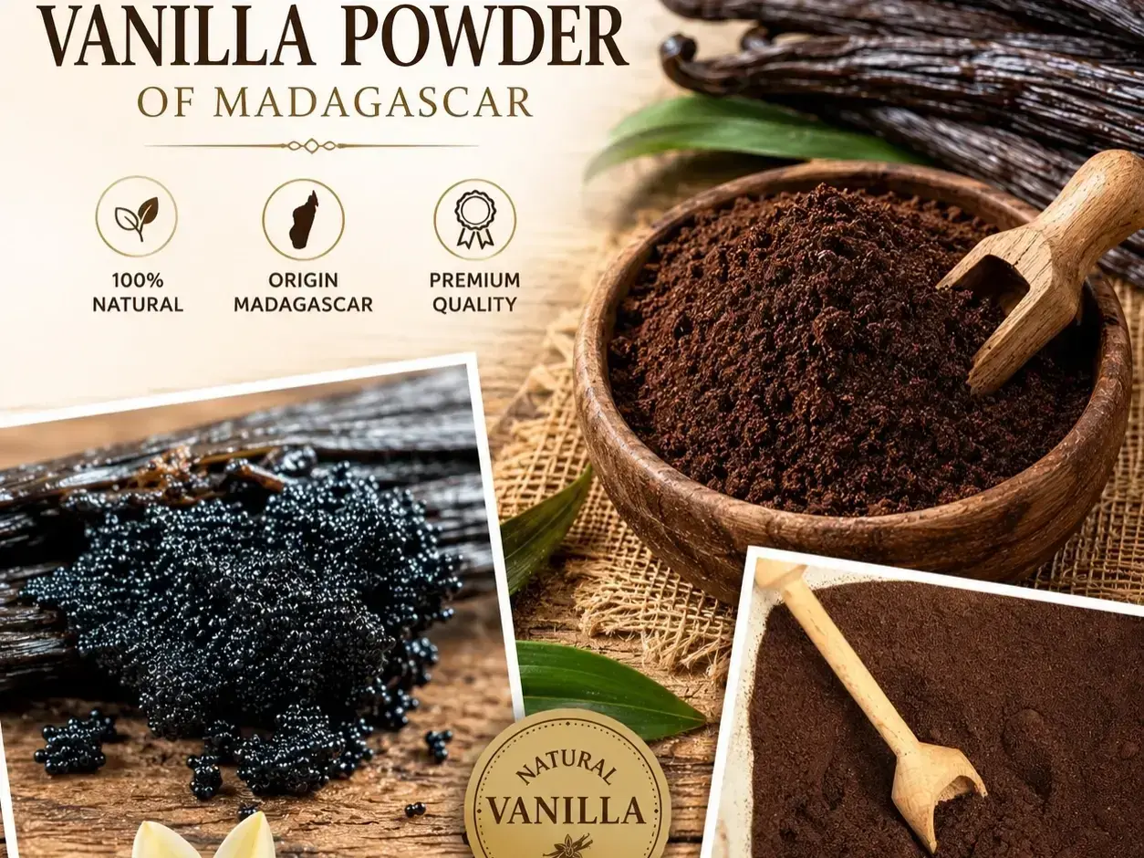 FAQs about Vanilla Export — overview