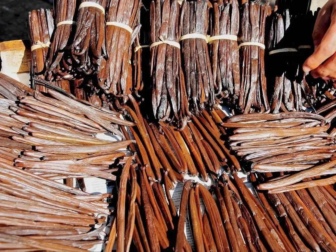 FAQs about Vanilla Export — results
