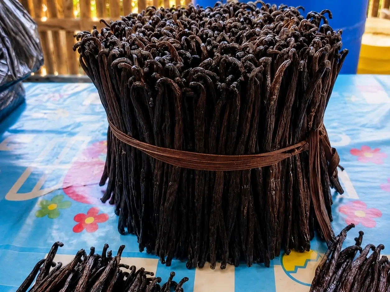 Export vanilla to America